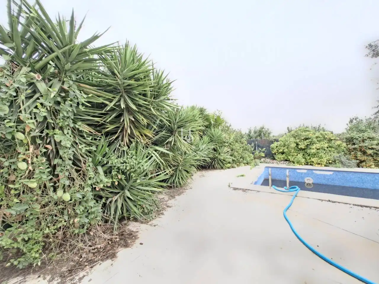 Piscina de Finca rústica en venda en Murcia amb Aire condicionat, Jardí privat i Piscina
