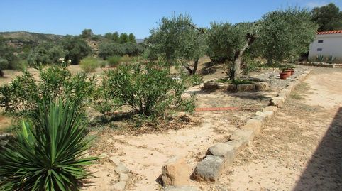 Foto 5 de Casa o chalet en venta en Polígono 5 Paraje 127 , 334, Flix, Tarragona