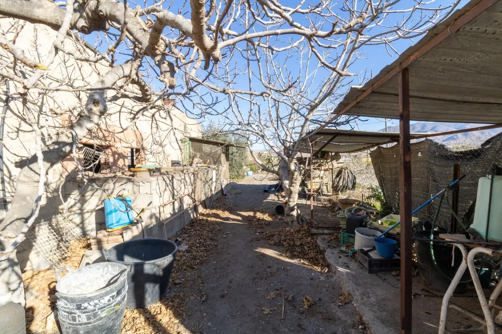 Vista exterior de Finca rústica en venda en Benahadux amb Aire condicionat, Jardí privat i Terrassa