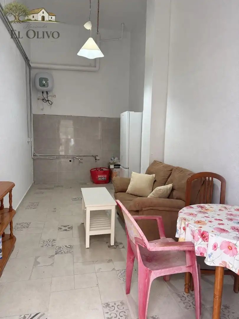 Living room of Study for sale in San Isidro - Campohermoso