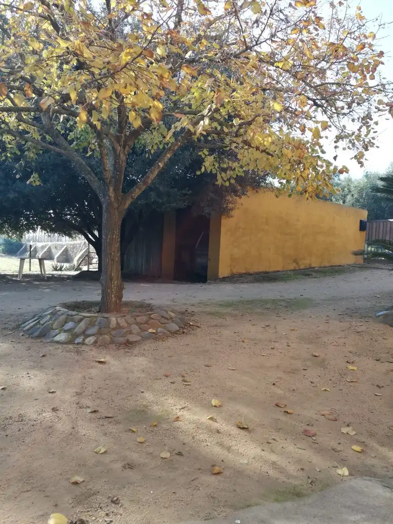 Vista exterior de Finca rústica en venta en Palafrugell con Aire acondicionado, Calefacción y Terraza