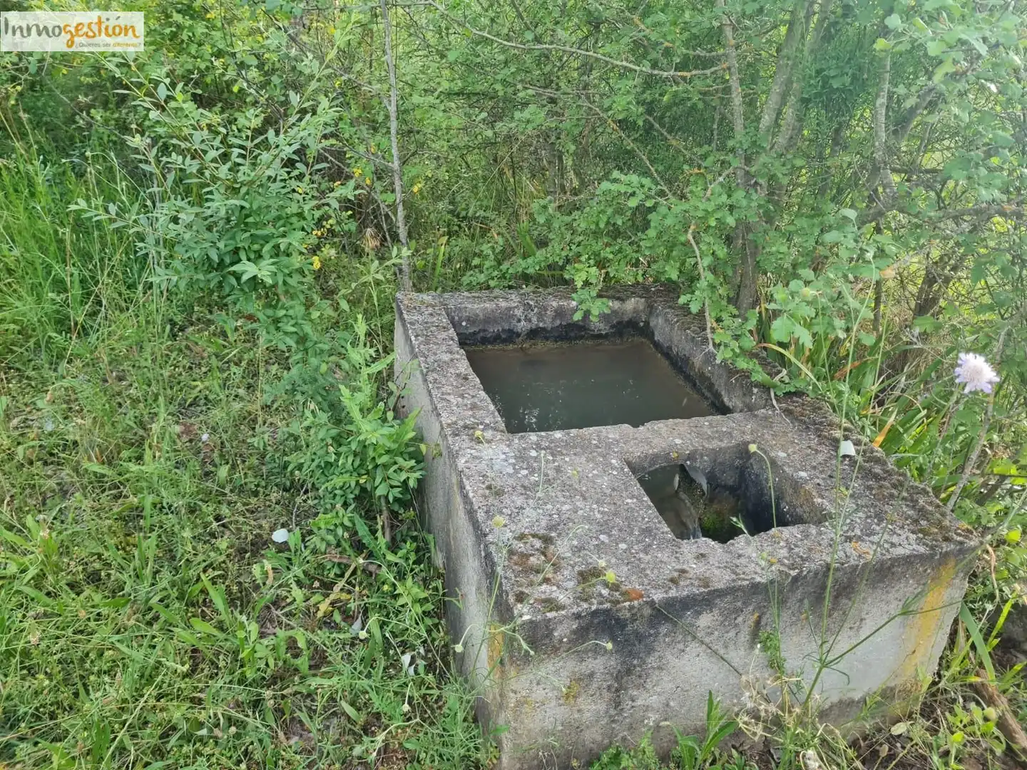 Terreno rustico in vendita a Tudela de Duero, imagen 5
