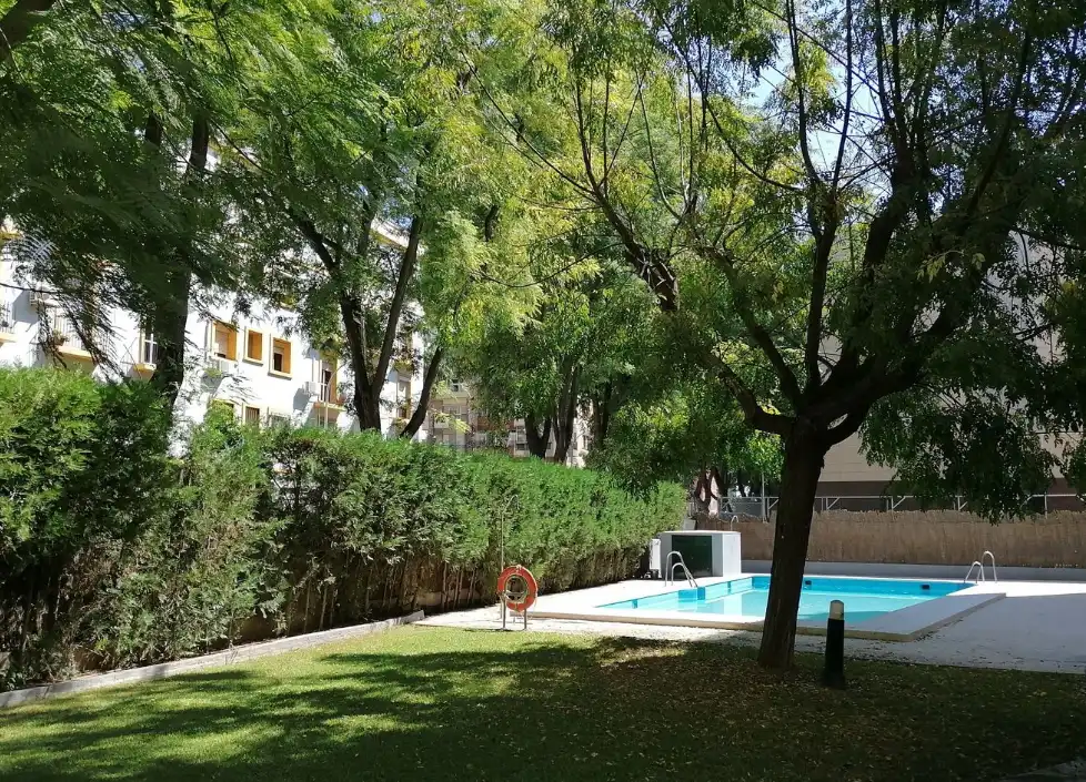 Pis amb piscina de lloguer a Bellavista - La Palmera, imagen 2