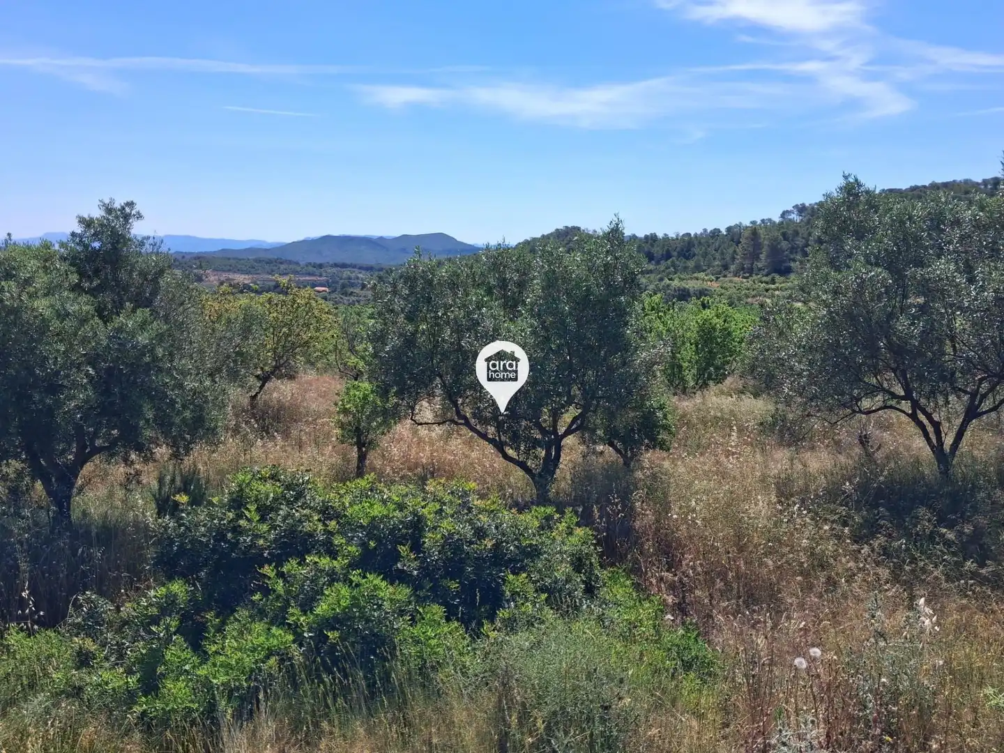 Land for sale in Madrid