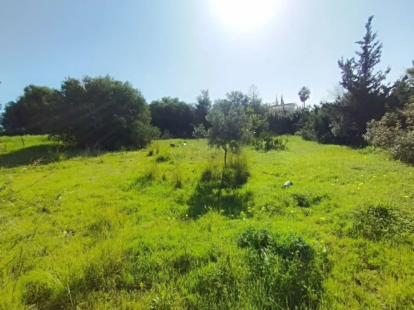 Terreni e lotti in vendita a Benamara - Atalaya, imagen 16