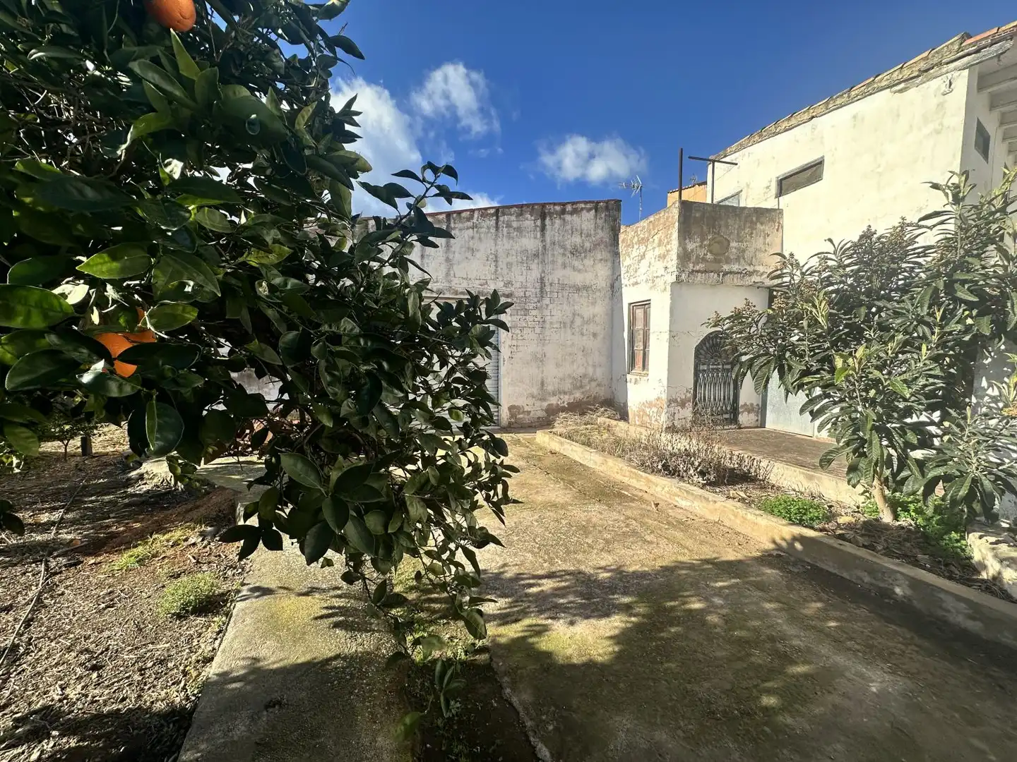 House with terrace for sale in Algímia de Alfara, imagen 60