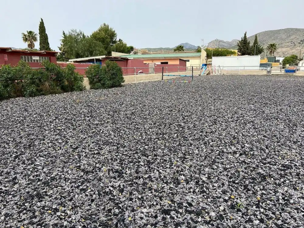 Vista exterior de Piso en venta en Fortuna