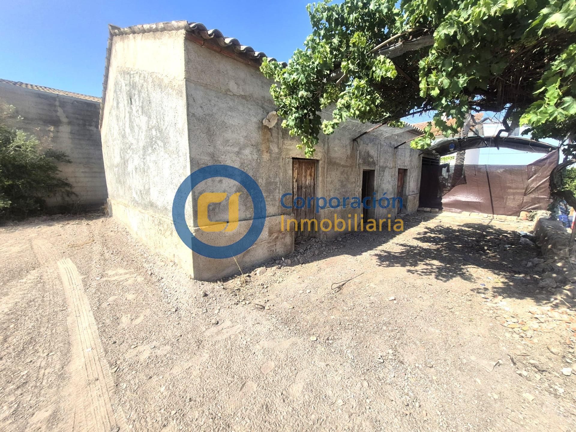 Vista exterior de Finca rústica en venta en Lorca