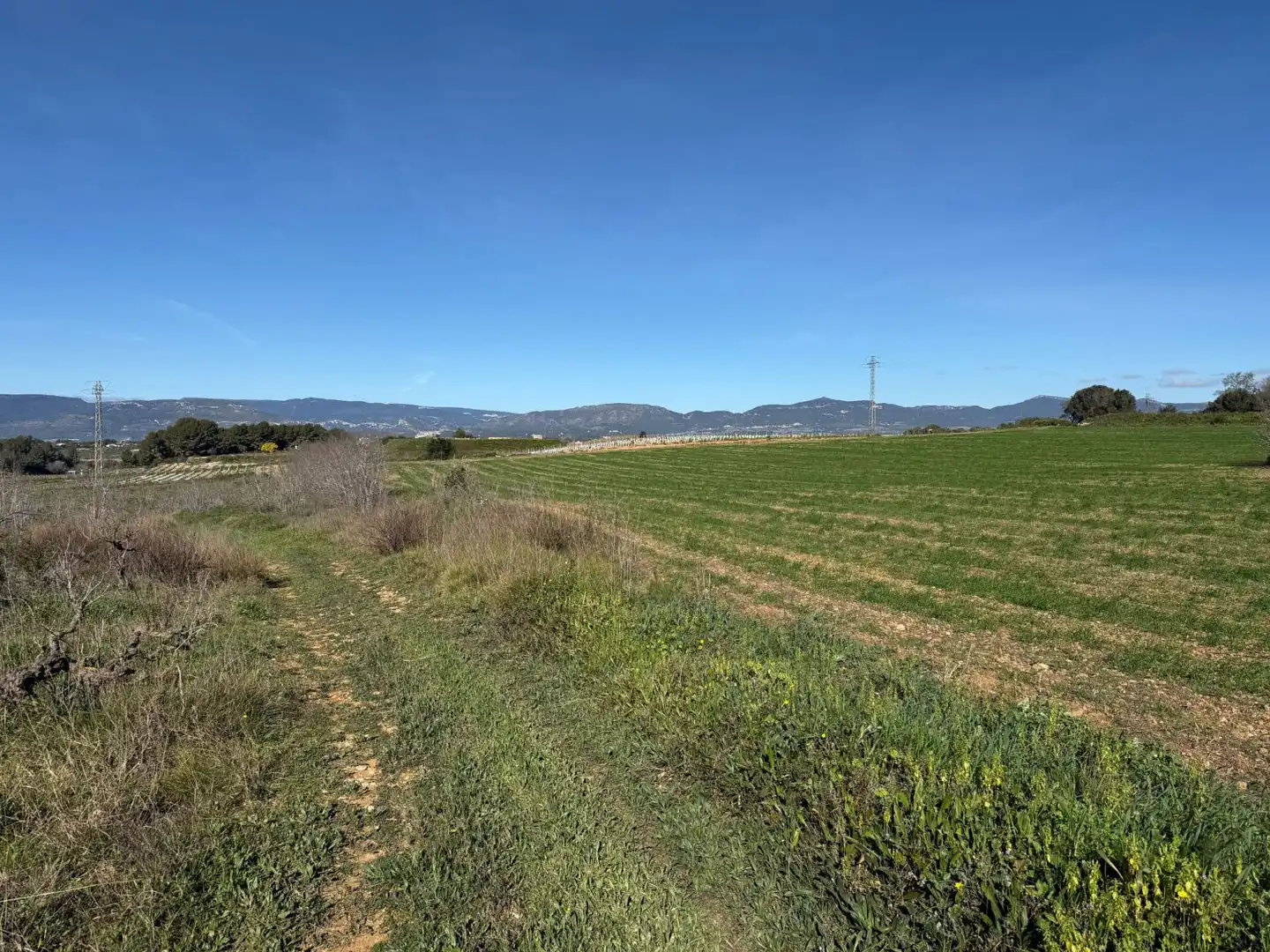 Finca rústica en venda a Puigpelat