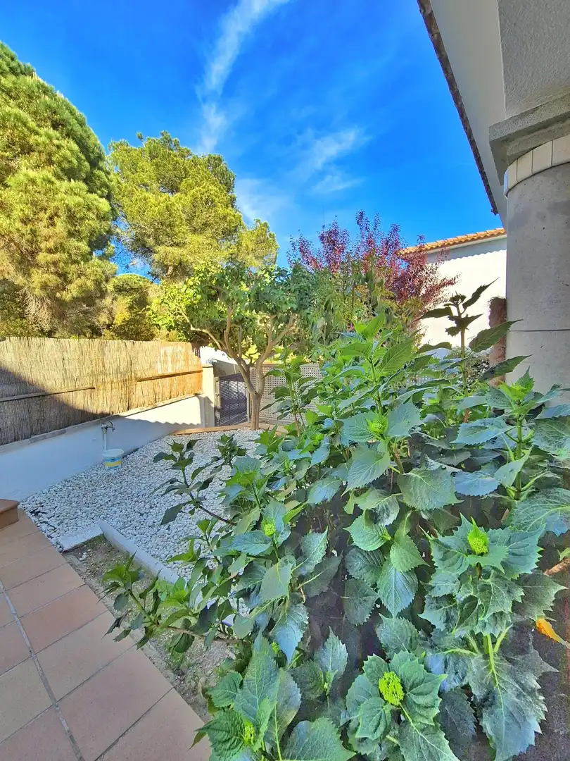 Houses for sale in Còrsega, Lloret Verd - Els Pinars