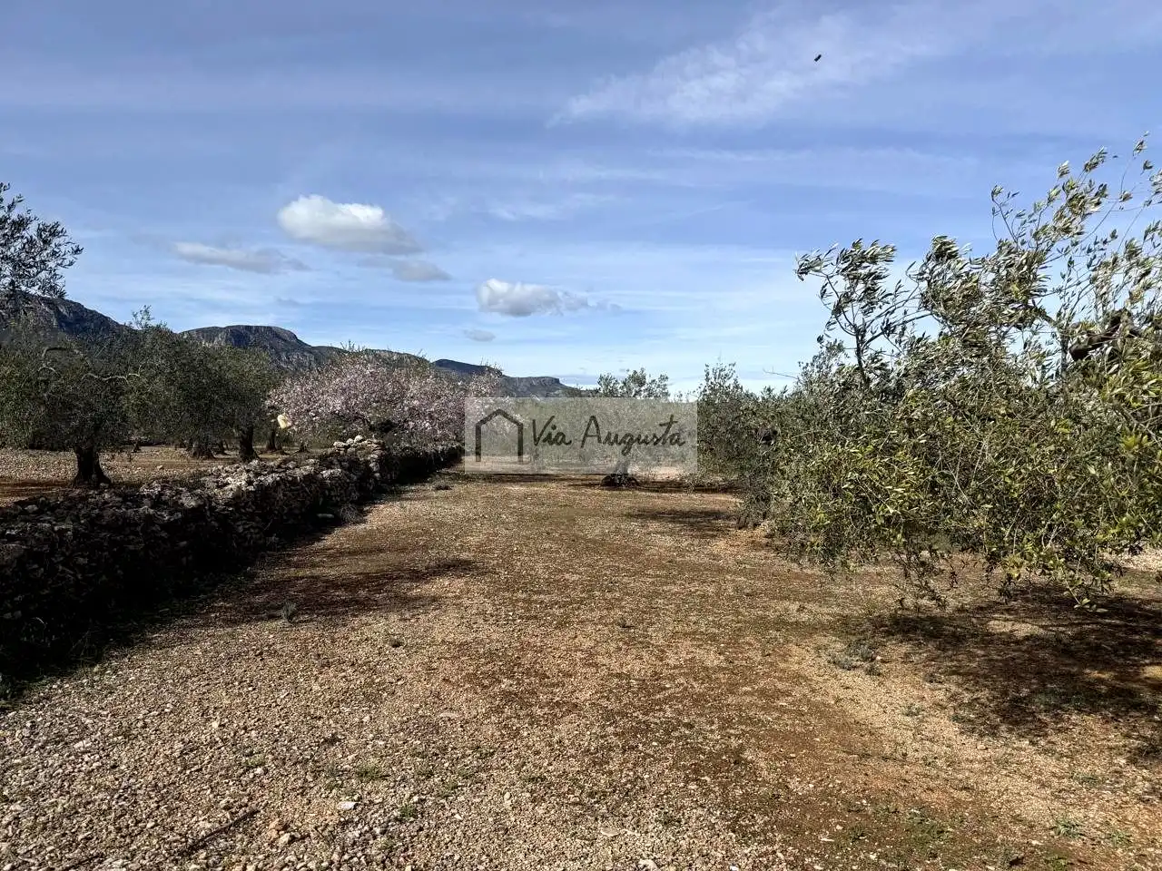 Terreno rustico in vendita a Burgà, imagen 8