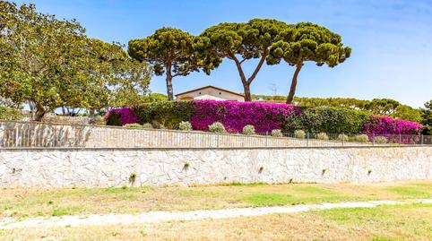 Foto 2 de Finca rústica en venta en El Palau - Escorxador, Barcelona