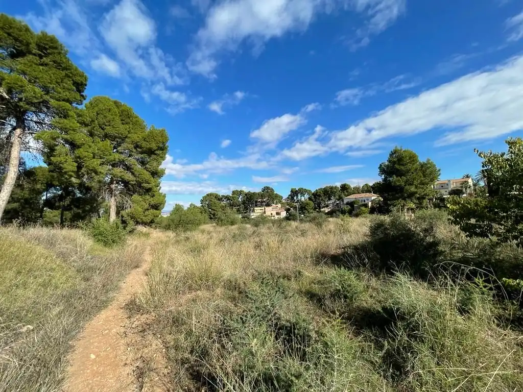 Terreny residencial en venda a Calle del Pino, imagen 13