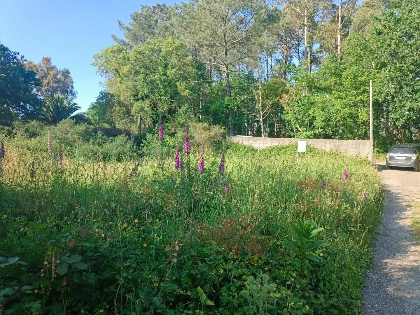 Terreno en venta en Tomiño