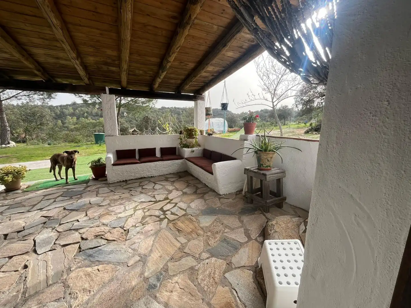Finca rústica en venda a El Ronquillo
