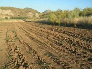 Terreni e lotti in vendita a Villaturiel