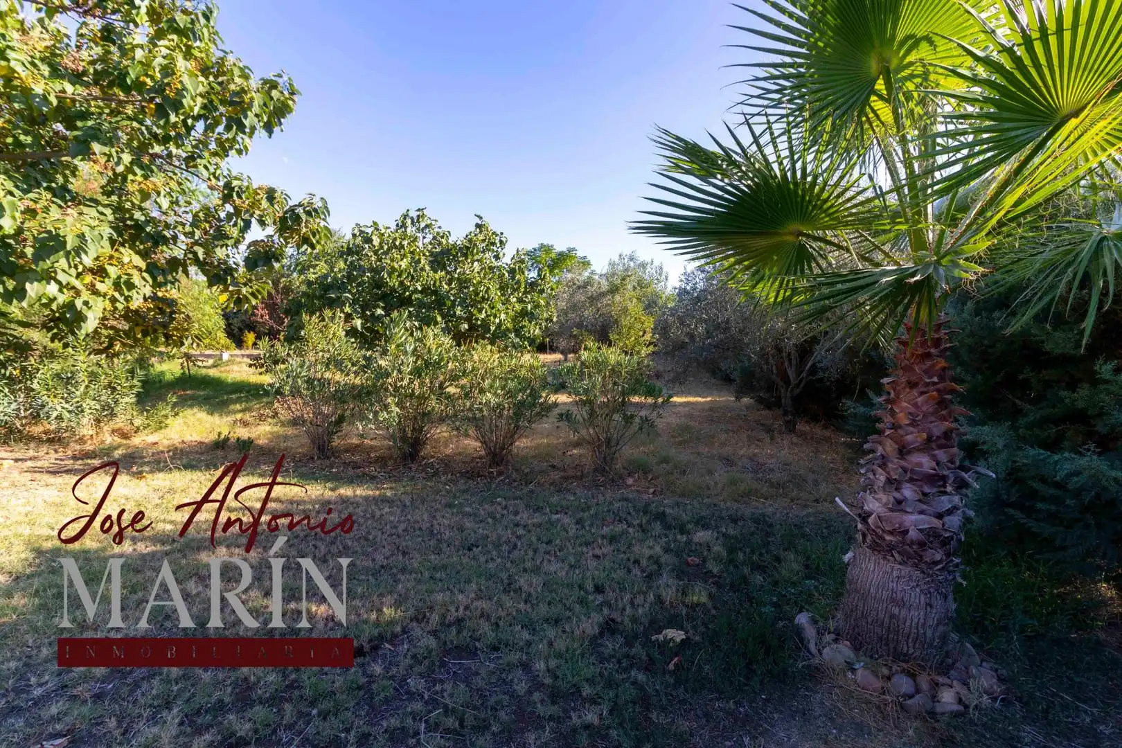 Country house with pool for sale in Dehesilla de Calamón - Campomanes, imagen 10
