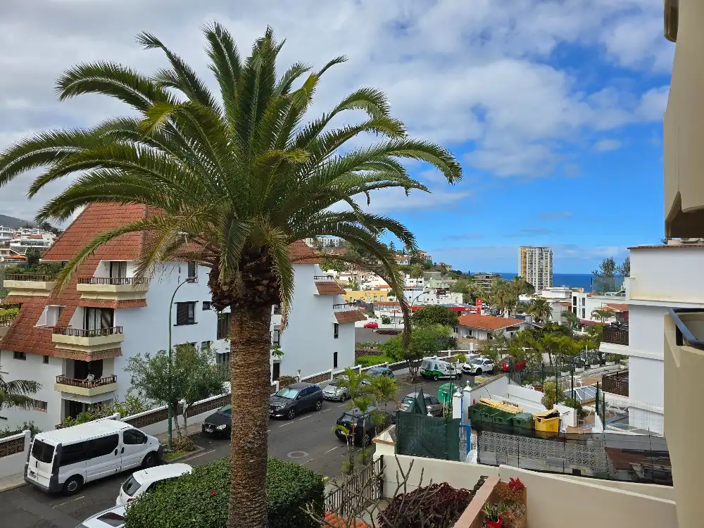 Flat with lift to rent in Calle Rector Benito Rodríguez Rios 107, imagen 3