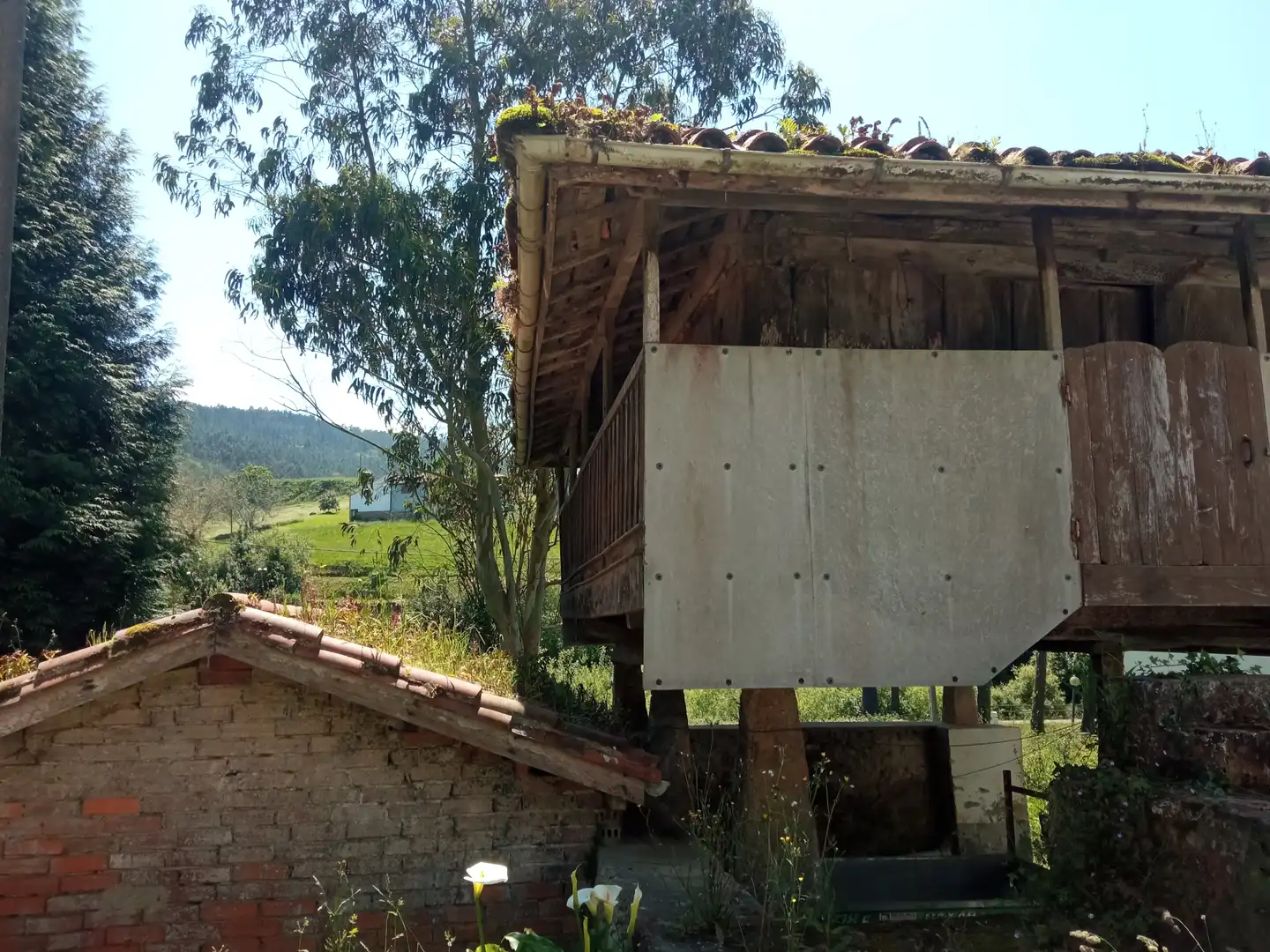 Vista exterior de Finca rústica en venta en Valdés - Luarca con Jardín privado, Terraza y Amueblado