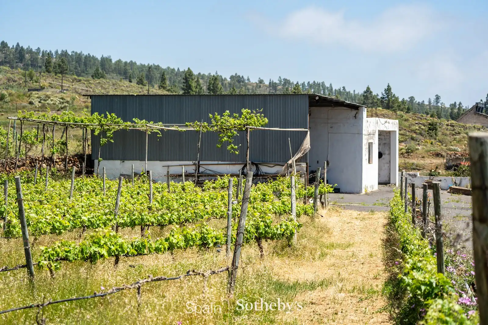 Exterior view of Residential for sale in Adeje