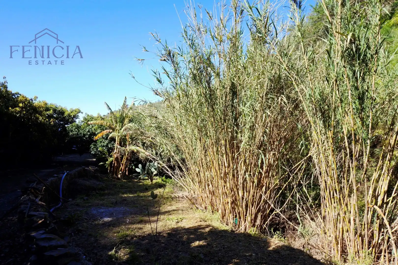 Jardín de Terreno en venta en Ítrabo