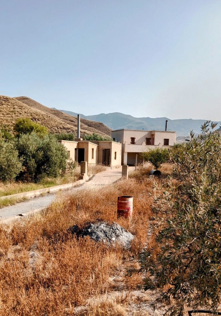 Vista exterior de Finca rústica en venda en Tabernas amb Terrassa, Traster i Moblat
