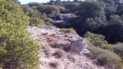 Foto 3 de Terreno industrial en venta en El Clavín - Valdeluz, Guadalajara Capital