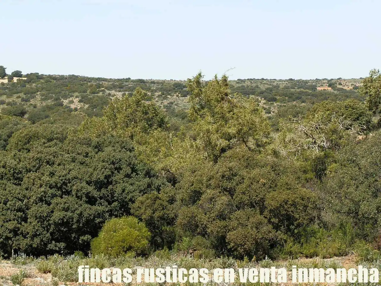 Lands and plots for sale in Ossa de Montiel, imagen 19