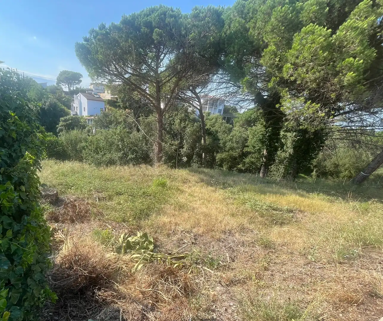 Wohnbaugrundstück zum Verkauf in Niàgara Parc - Àgora Parc, imagen 3