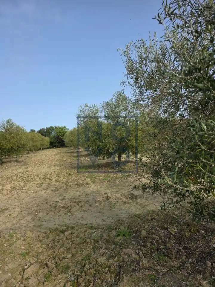 Residencial en venta en El Cuervo de Sevilla