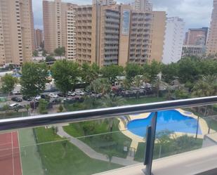 Piscina de Apartament de lloguer en Benidorm amb Aire condicionat, Calefacció i Terrassa