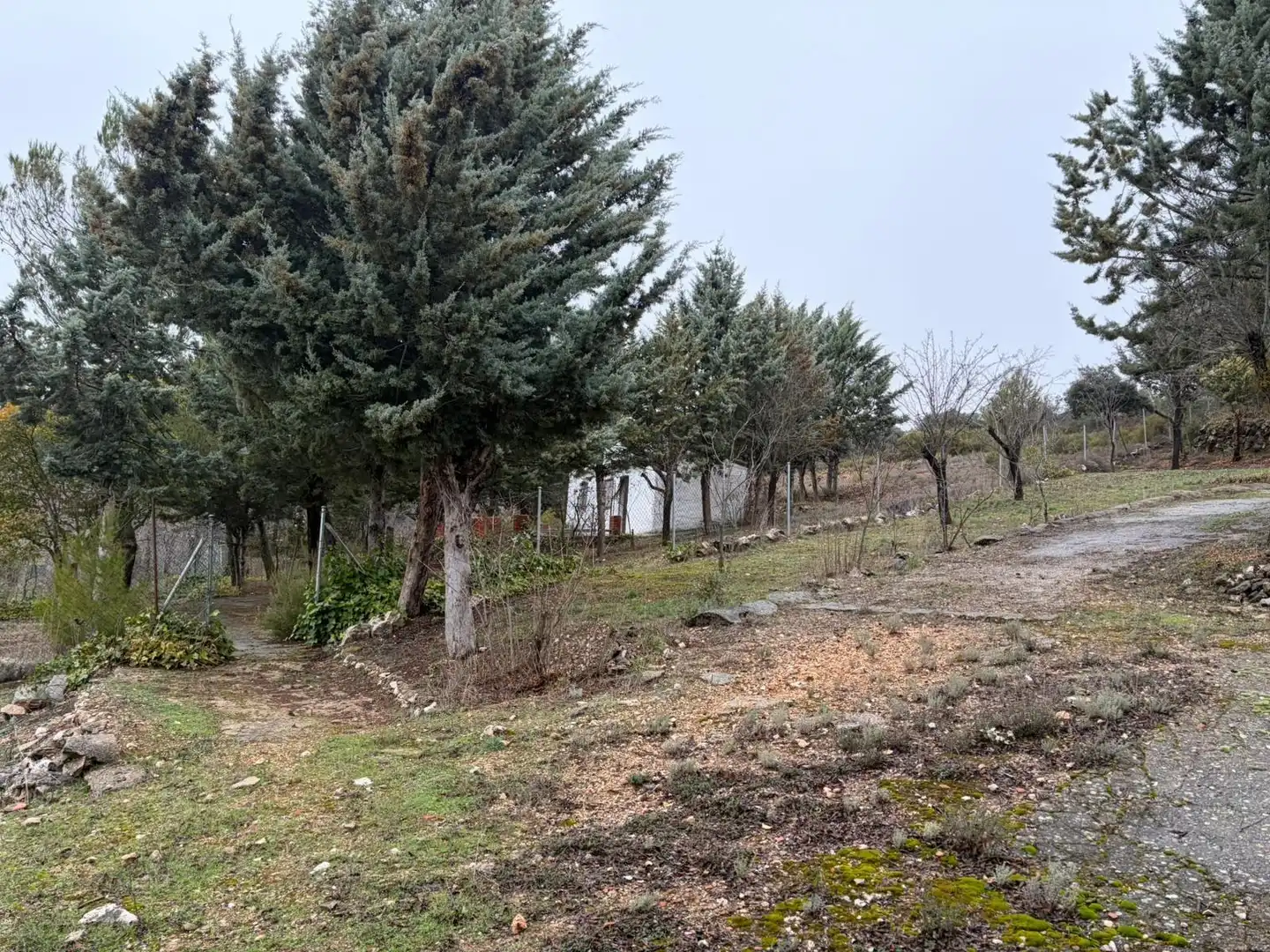 Finca rústica en venta en Pioz