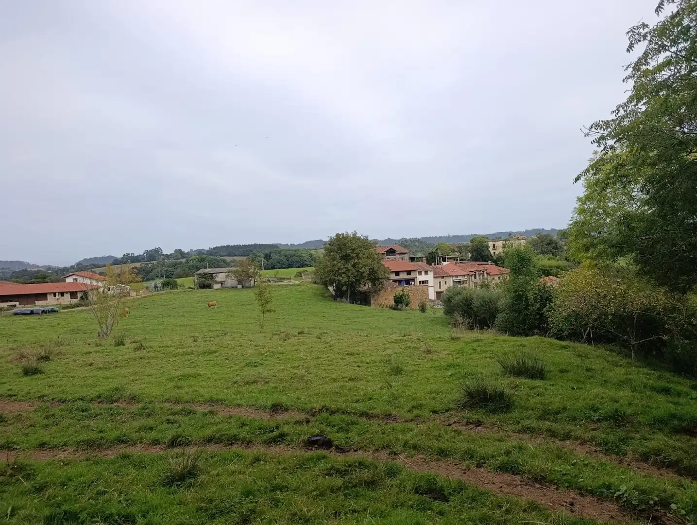 Rustikales Grundstück zum Verkauf in Carretera Piñera (Noriega) 0, imagen 3
