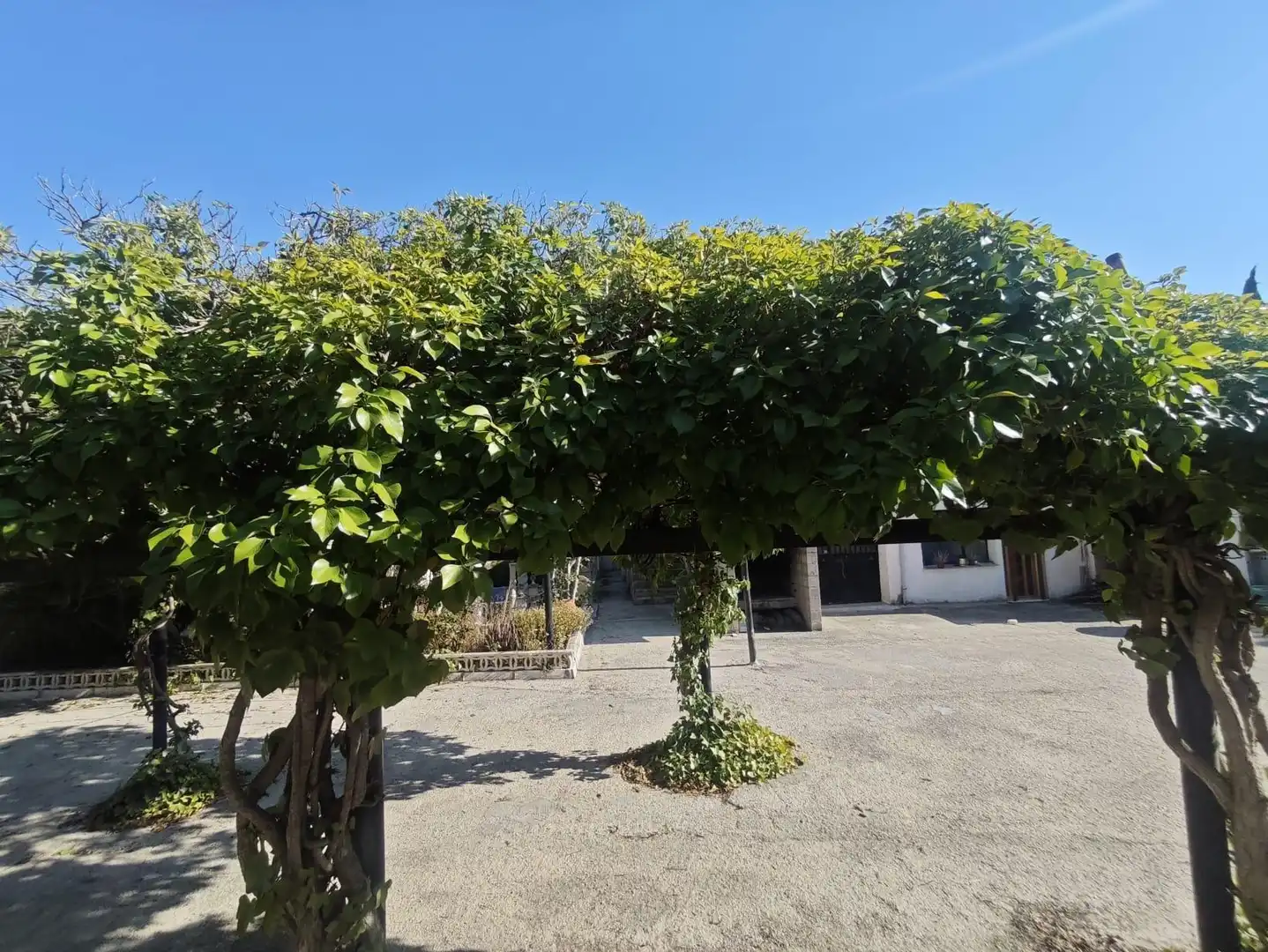 House with pool for sale in Petrer, imagen 6