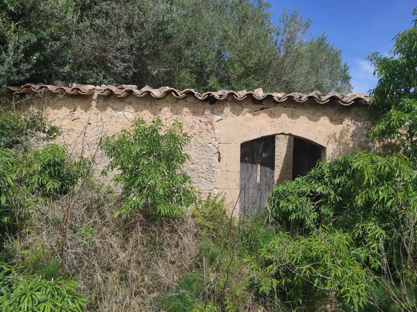 Casa rústica en venta en Sineu, imagen 4