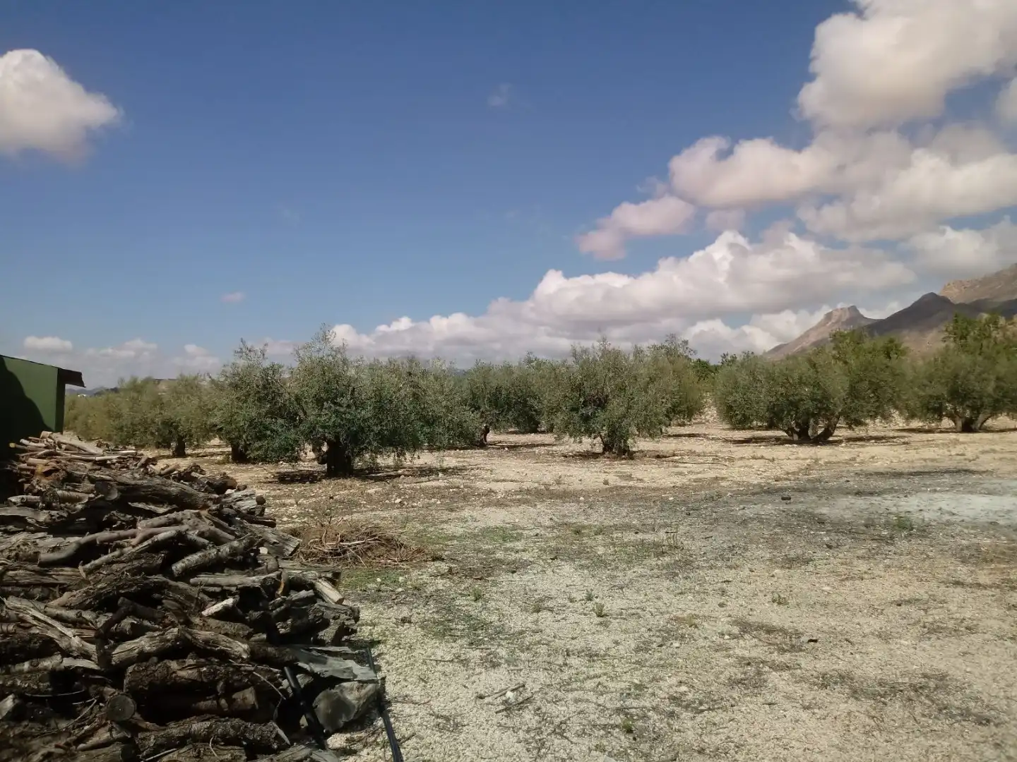 Land for sale in N/A, -1, Humbrías
