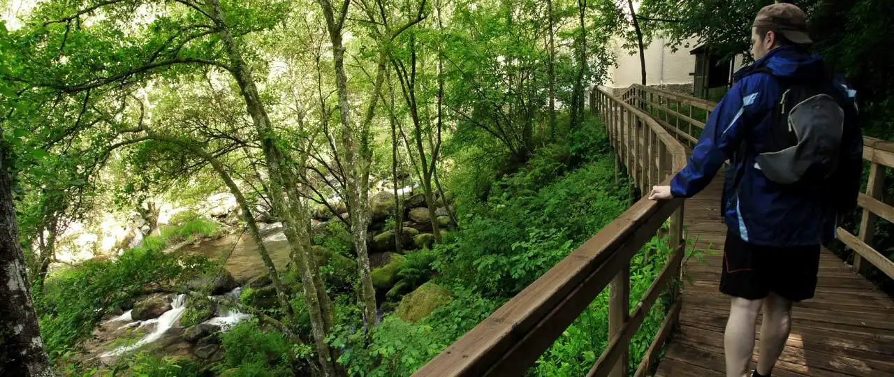 Casa rústica amb jardí en venda a O Pereiro de Aguiar, imagen 12