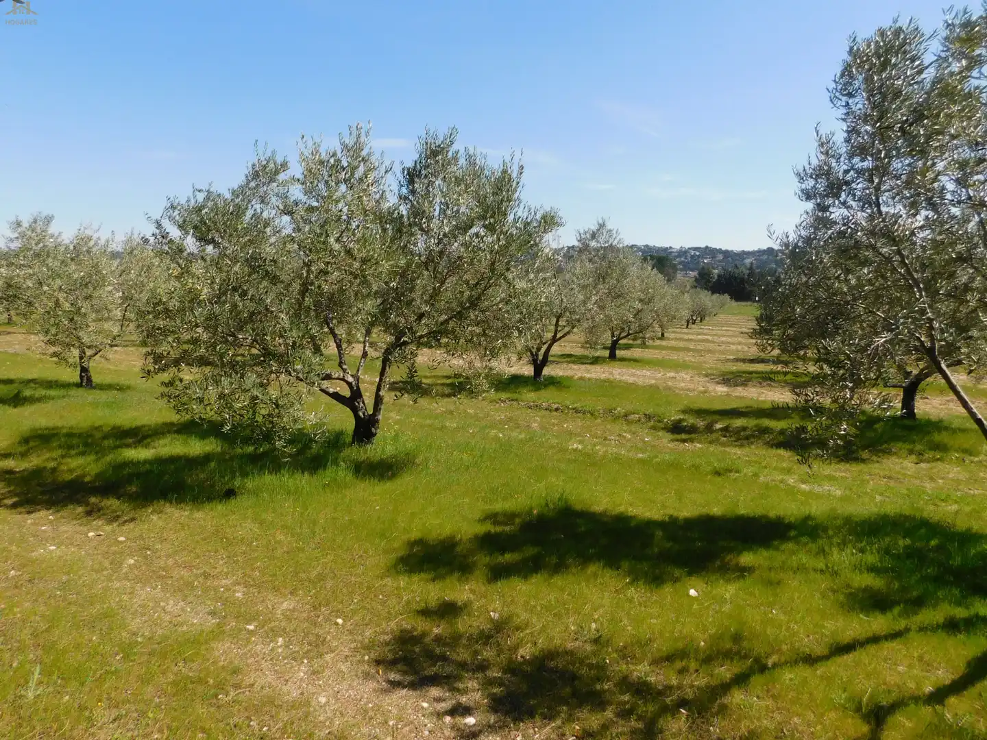 Terreno en venta en Villa del Prado