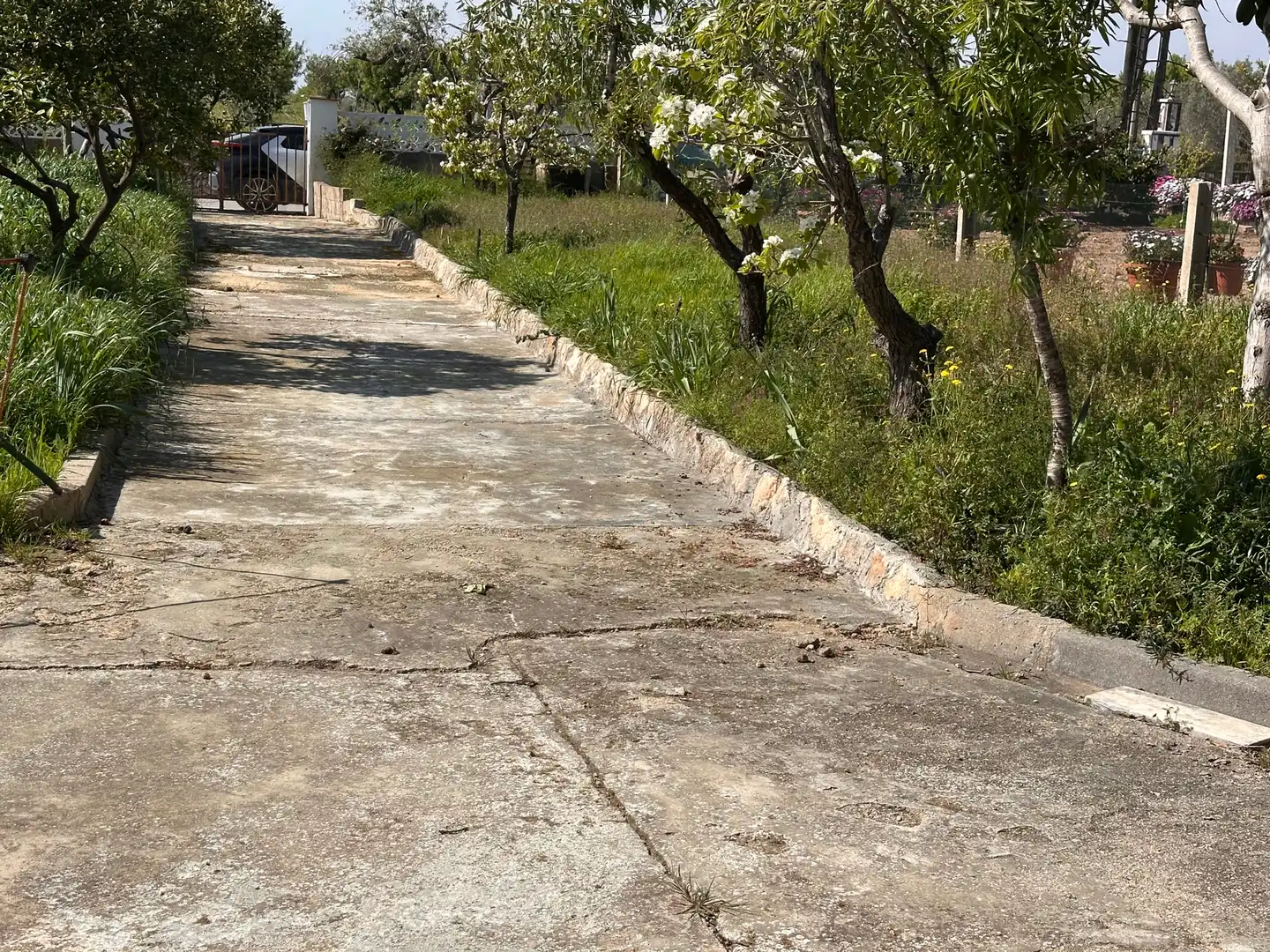 Vista exterior de Casa o chalet en venta en La Secuita con Jardín privado, Terraza y Trastero