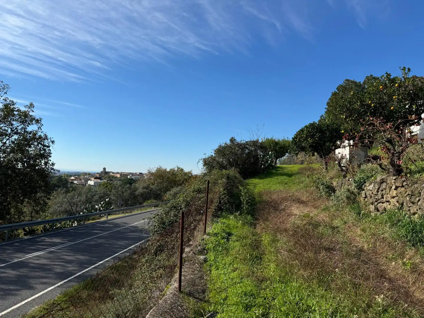 Vista exterior de Finca rústica en venta en Candeleda con Jardín privado