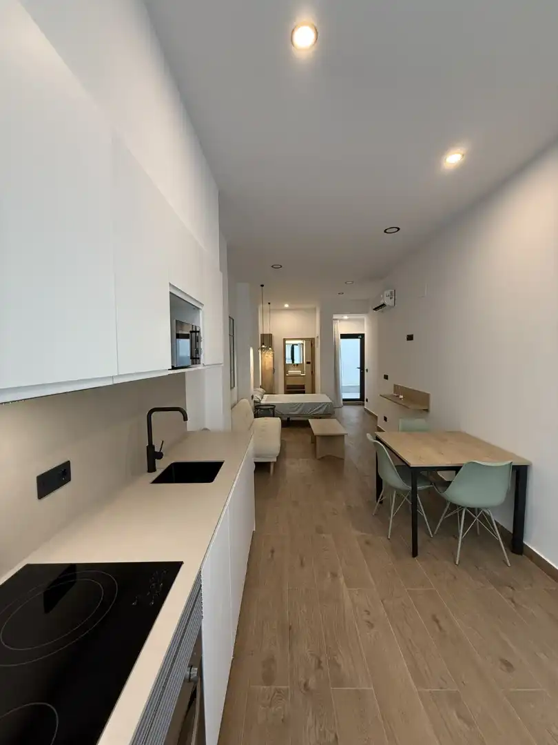 Sala de estar de Estudio en venta en Valencia con Aire acondicionado, Terraza y Amueblado