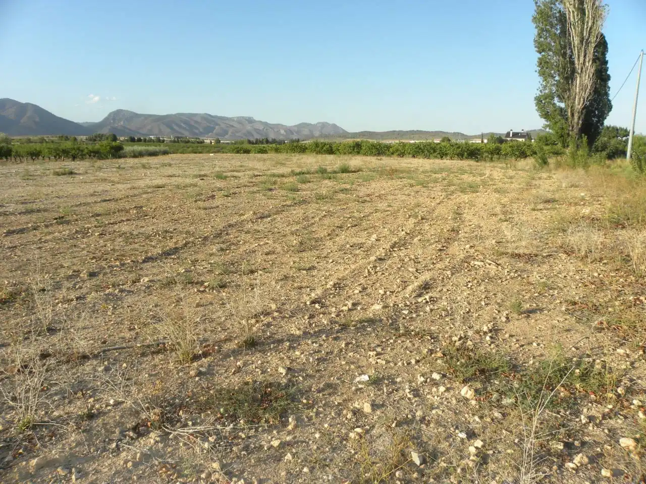 Residential land for sale in Caravaca de la Cruz, imagen 6