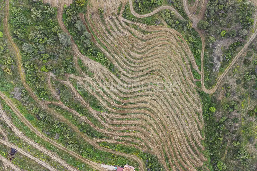 Residential land for sale in La Pobla de Claramunt, imagen 4