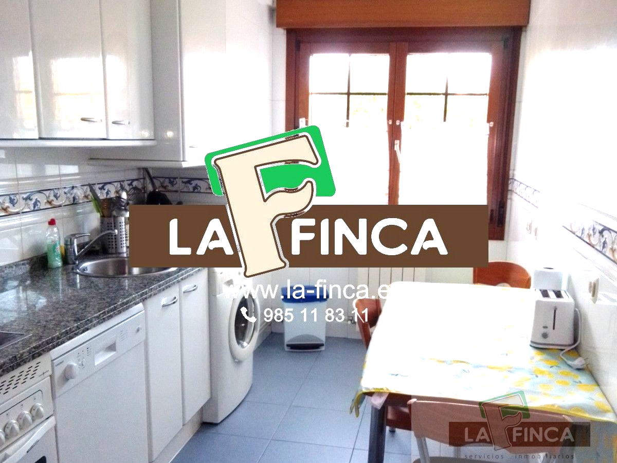 Cocina de Piso de alquiler en Oviedo  con Calefacción, Parquet y Terraza