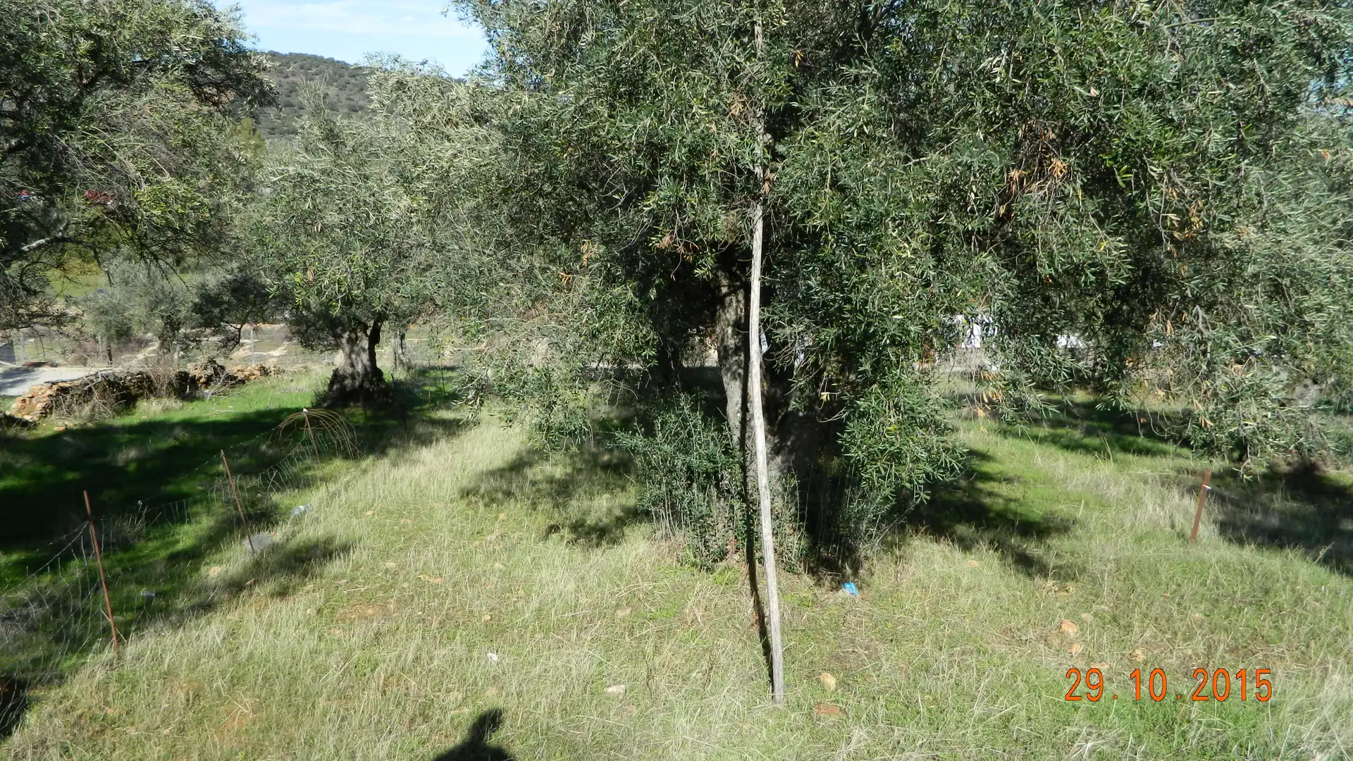 Terreno residencial en venta en N/A, imagen 9
