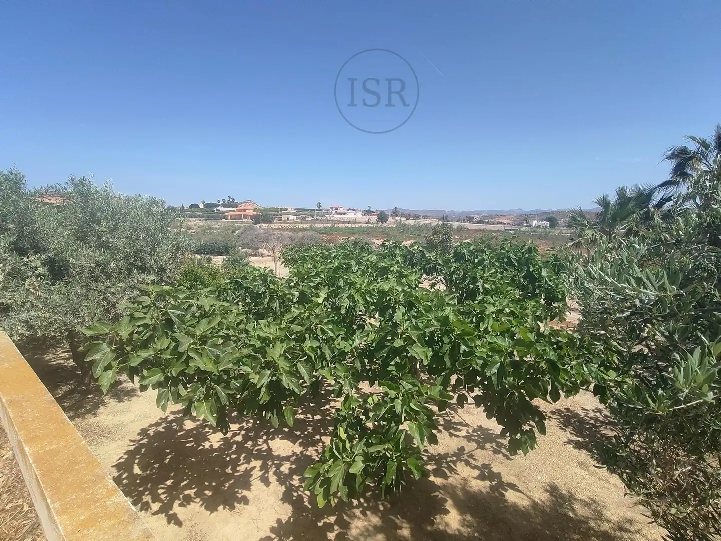 Casa o xalet en venda en Antas amb Aire condicionat i Piscina
