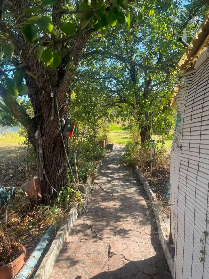 Chalet en venta en Bonares, imagen 31