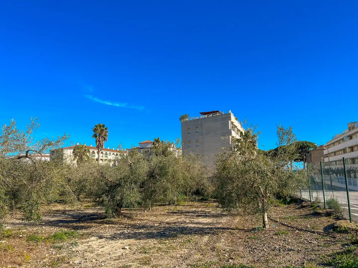 Terreny residencial en venda a POLIGONO 12, imagen 14