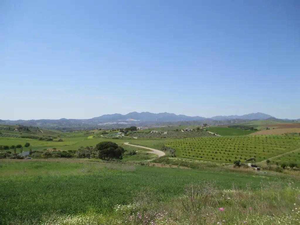 Xalet amb jardí en venda a Coín, imagen 15