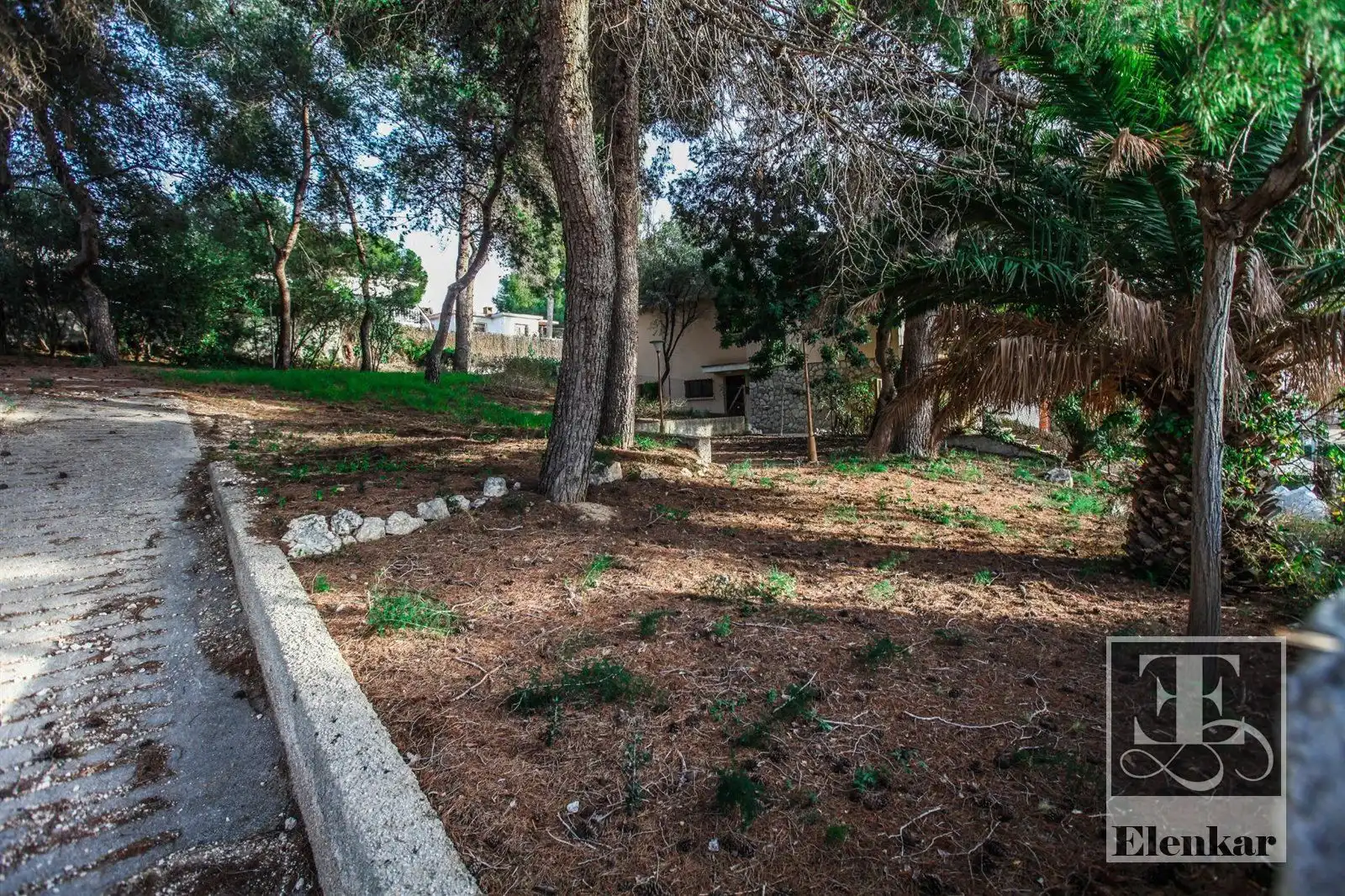 Terrain rustique à vendre à Mèxic, imagen 16